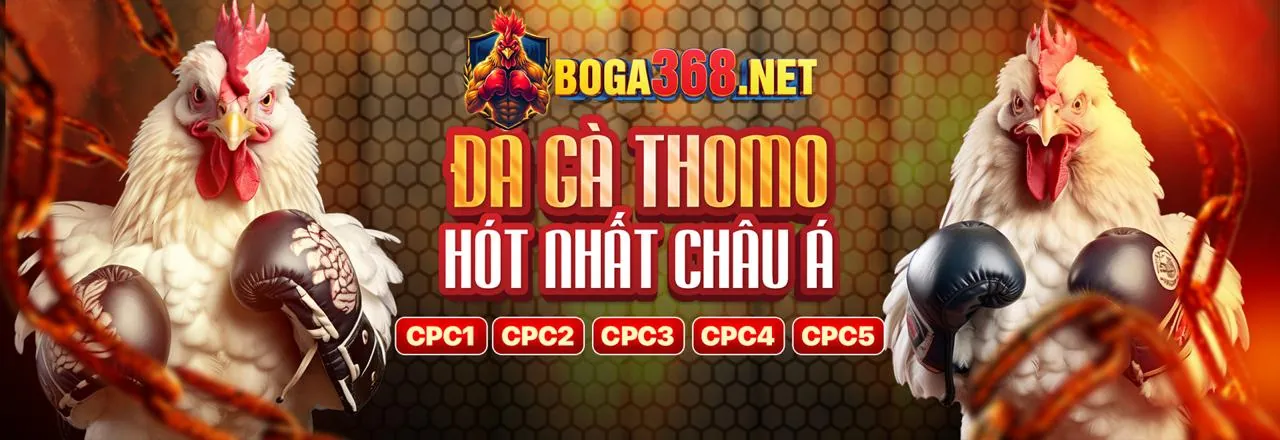 Chương trình VIP bk8 bet
