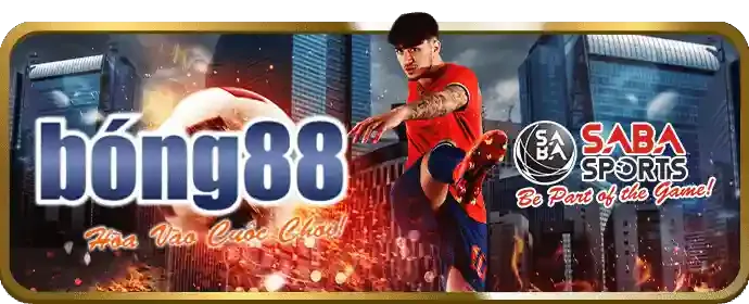 Cá cược bóng đá f16878
